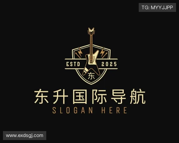 解读东升国际导航